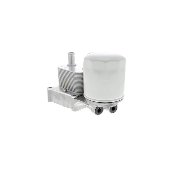 Oljekylare, motor
