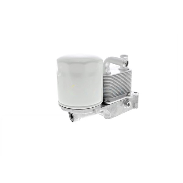 Oljekylare, motor