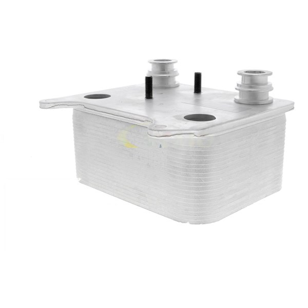 Oljekylare, motor Oljekylare, motor