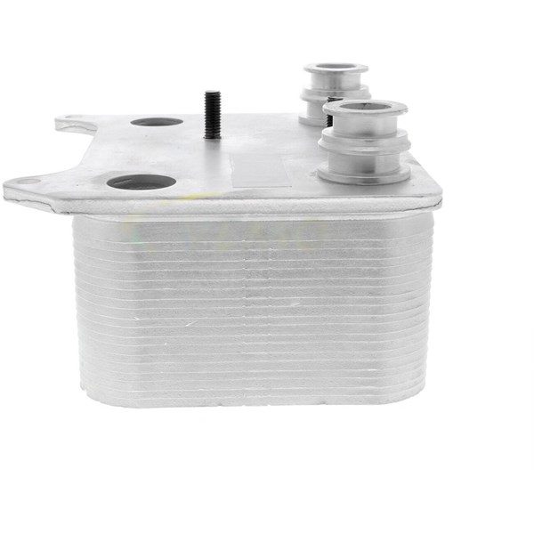 Oljekylare, motor