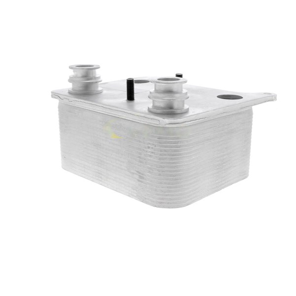 Oljekylare, motor Oljekylare, motor