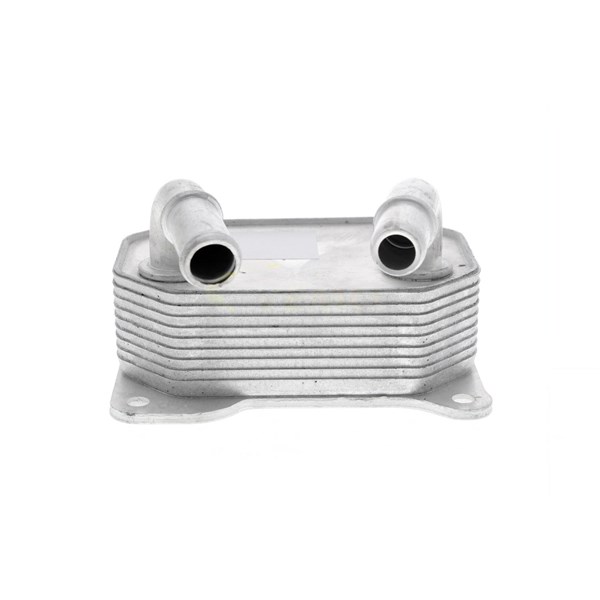 Oljekylare, motor
