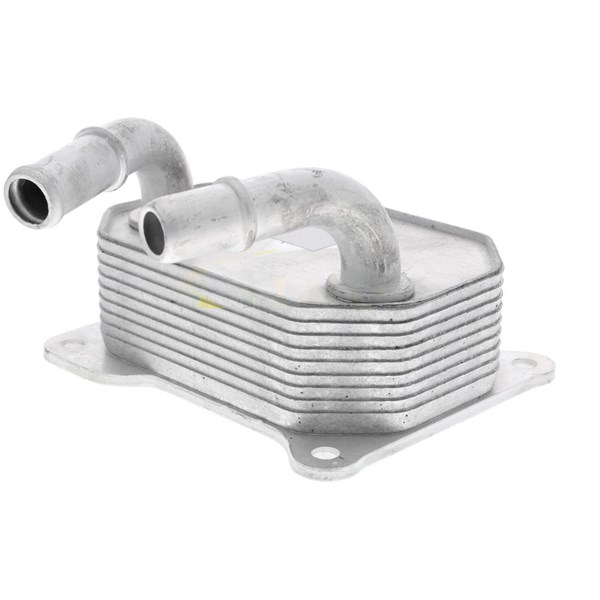 Oljekylare, motor