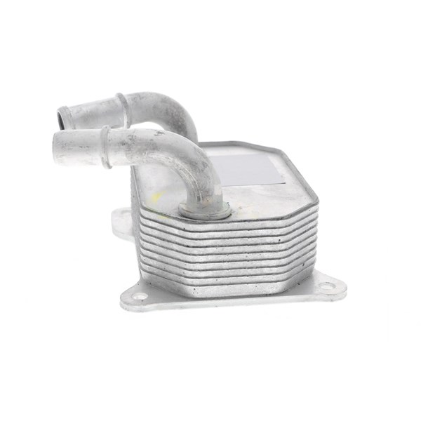Oljekylare, motor