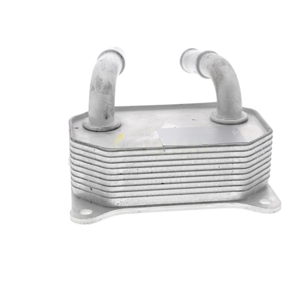 Oljekylare, motor