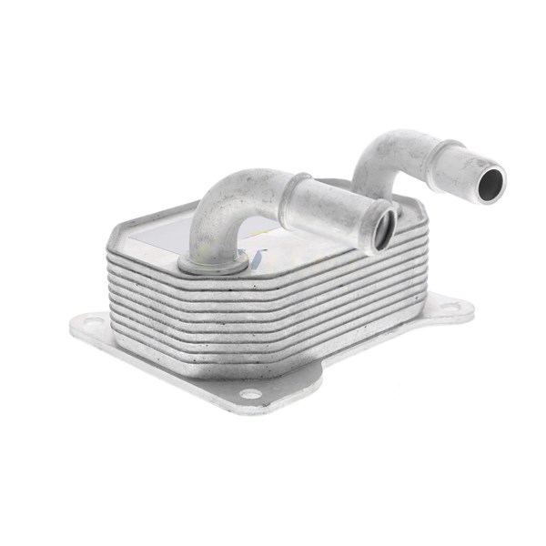 Oljekylare, motor