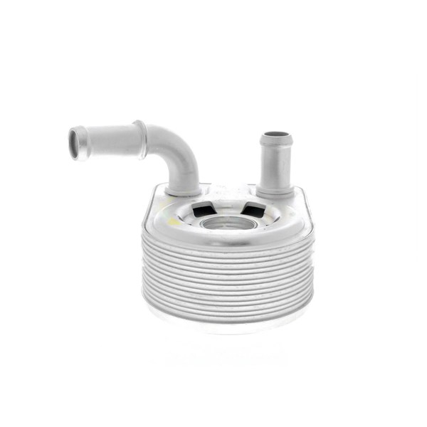 Oljekylare, motor