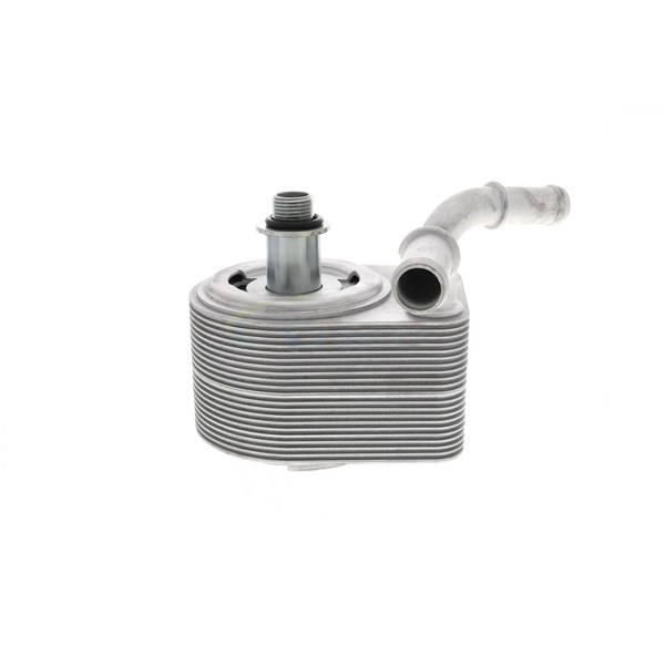 Oljekylare, motor