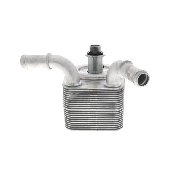 Oljekylare, motor