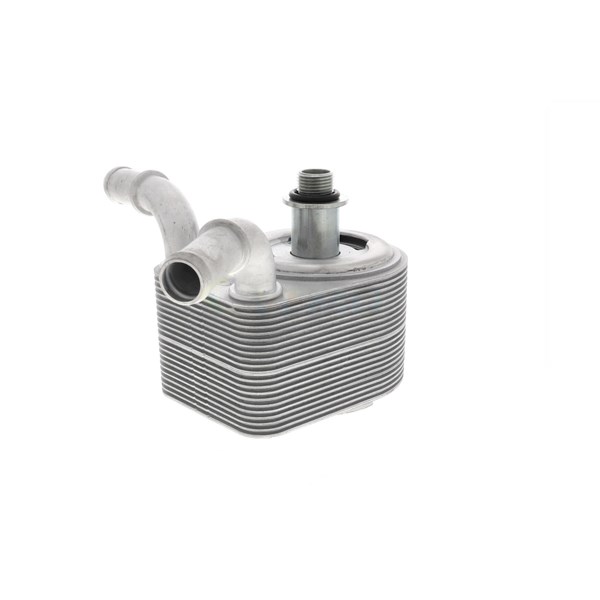 Oljekylare, motor
