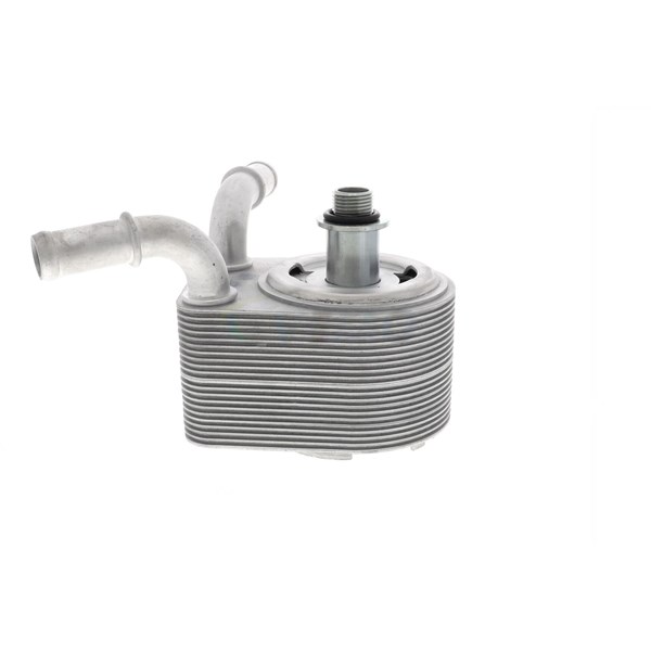 Oljekylare, motor