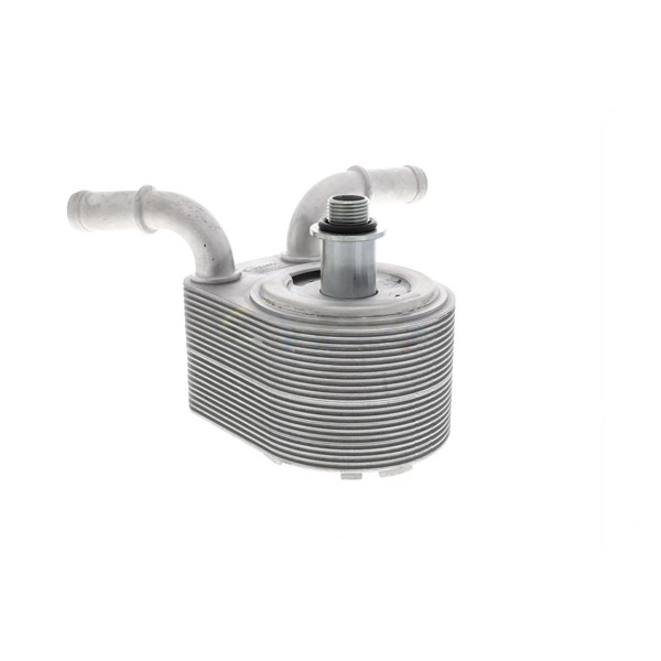 Oljekylare, motor