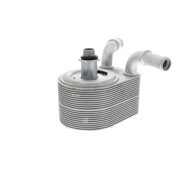 Oljekylare, motor