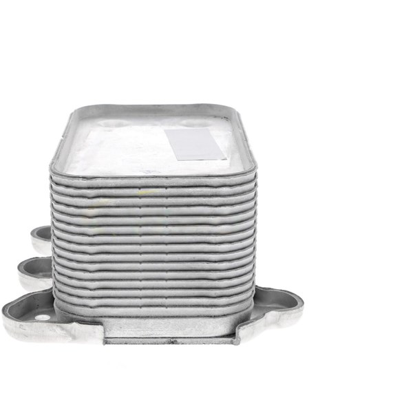 Oljekylare, motor