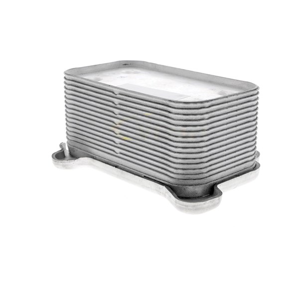 Oljekylare, motor