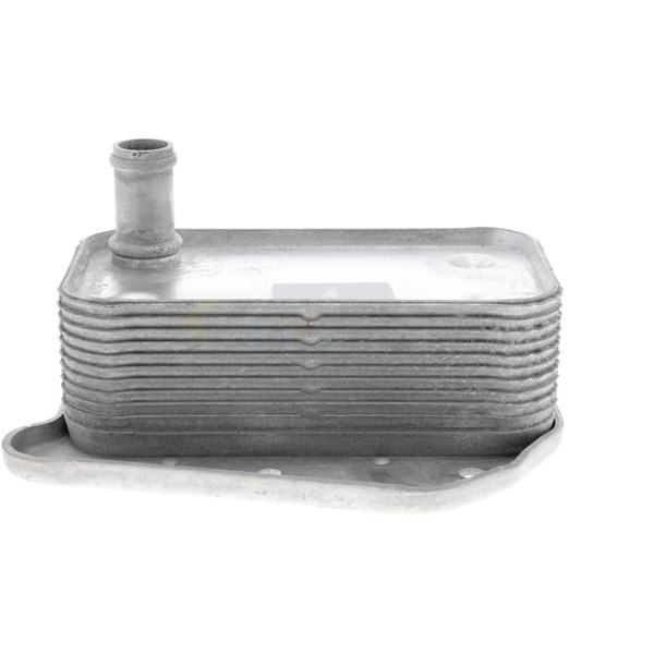 Oljekylare, motor