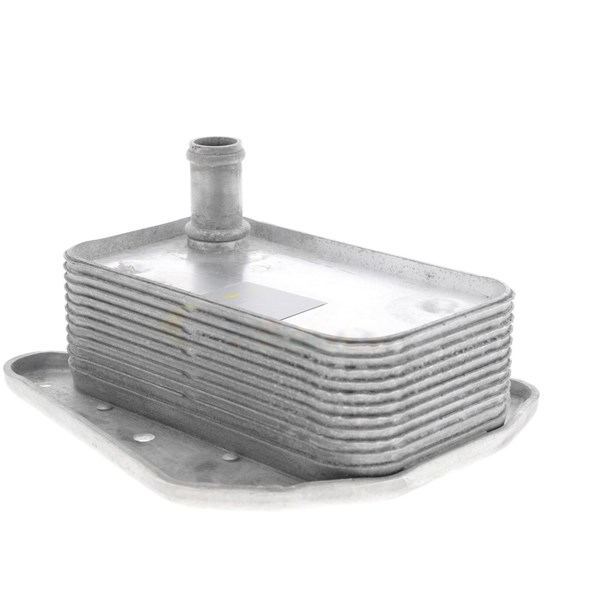 Oljekylare, motor