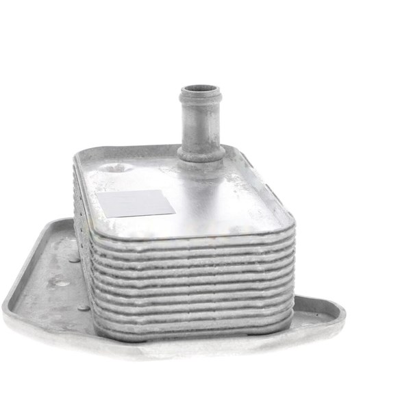 Oljekylare, motor