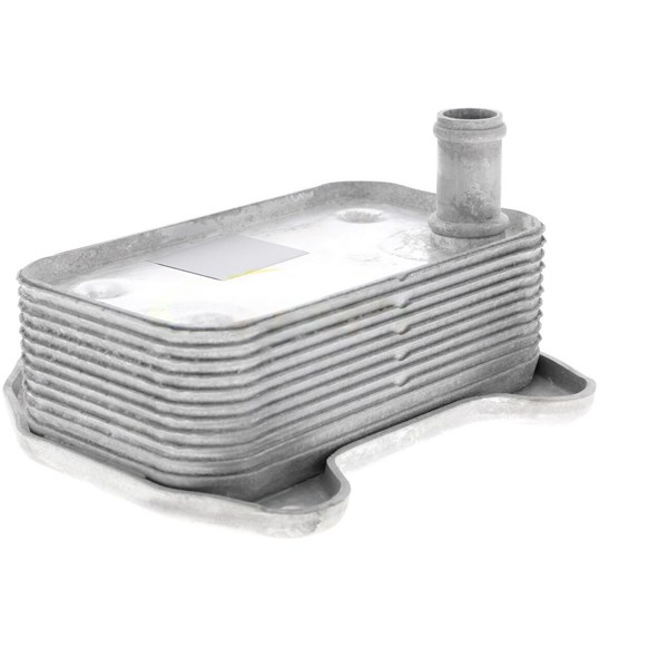 Oljekylare, motor