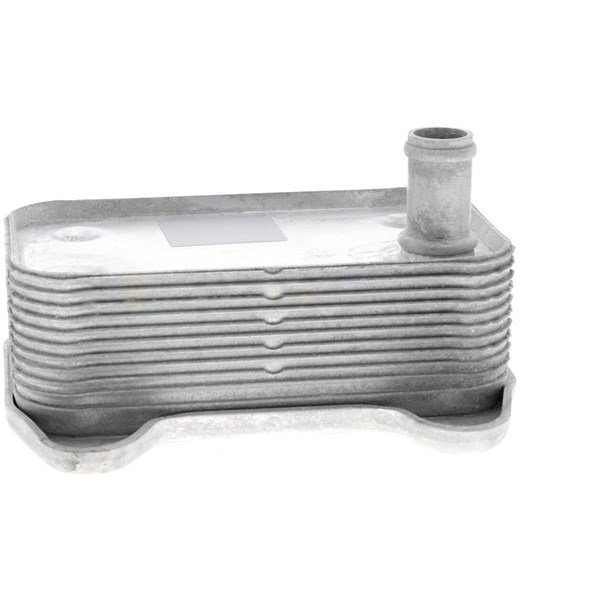 Oljekylare, motor