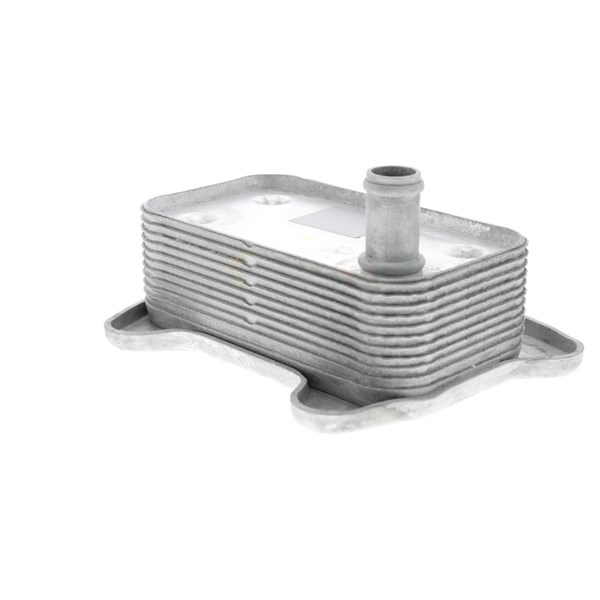 Oljekylare, motor