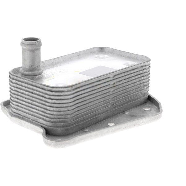 Oljekylare, motor