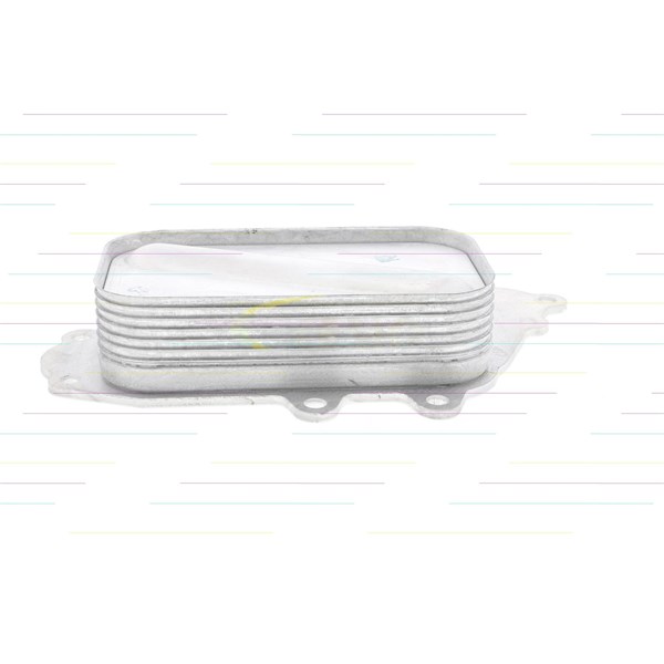 Oljekylare, motor