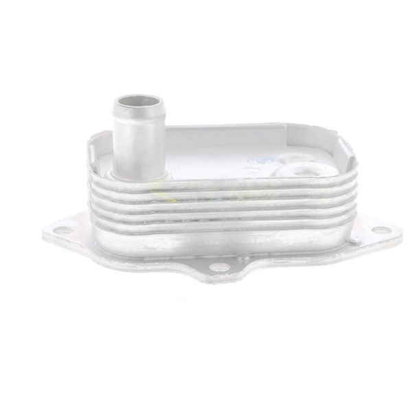 Oljekylare, motor