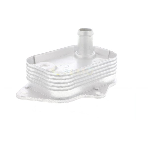 Oljekylare, motor