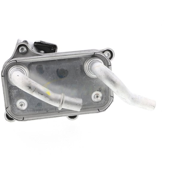 Oljekylare, motor
