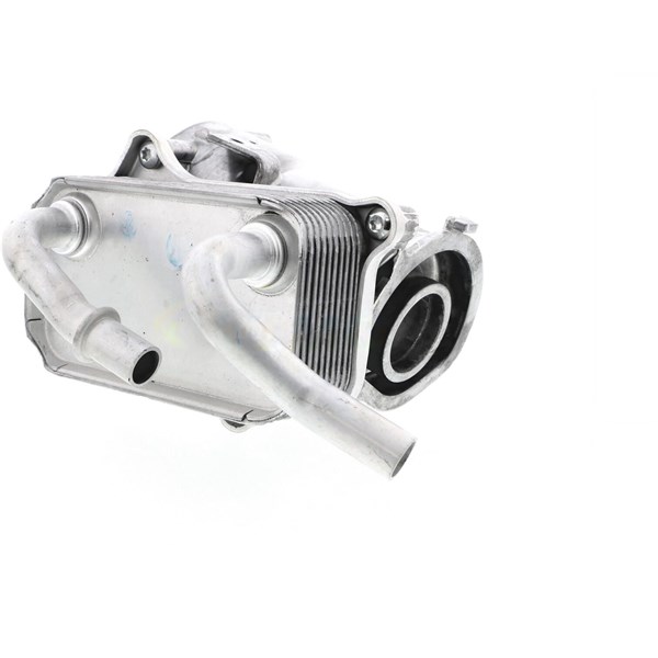 Oljekylare, motor