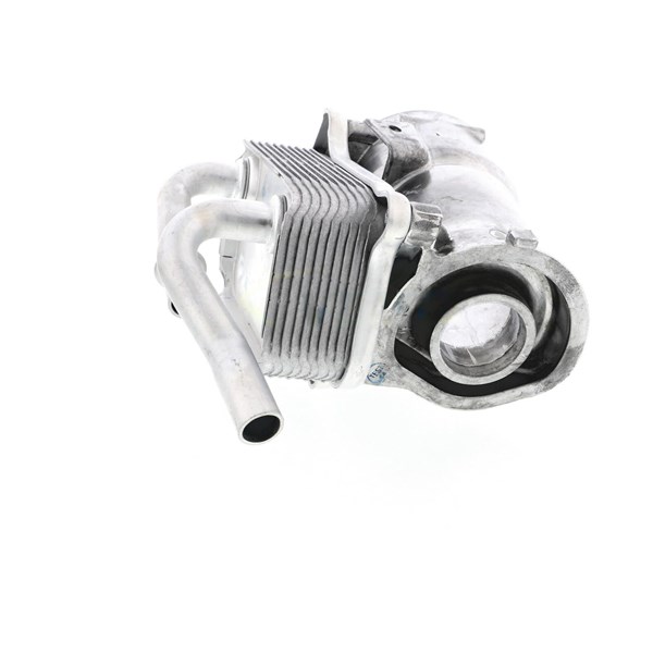 Oljekylare, motor