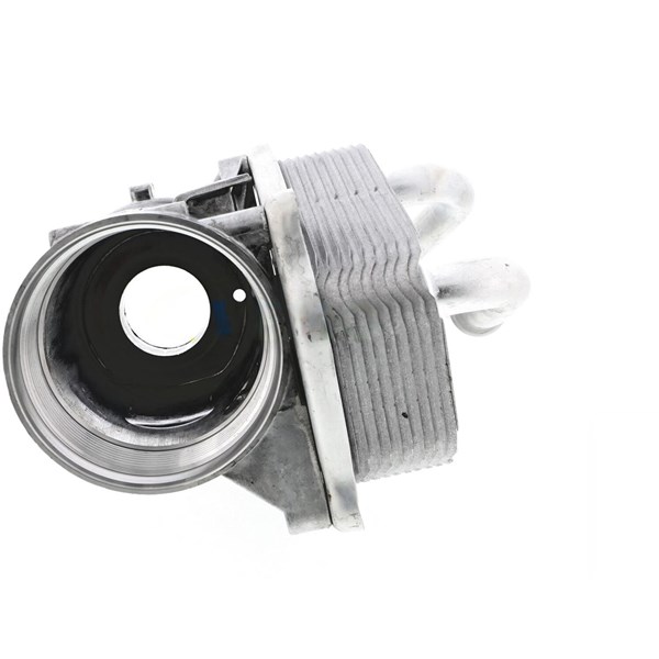Oljekylare, motor