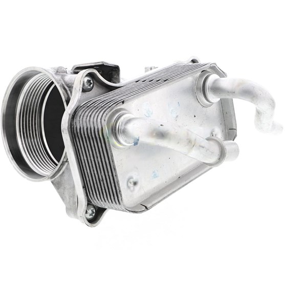 Oljekylare, motor