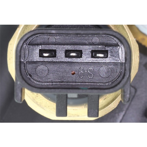 Oljekylare, motor