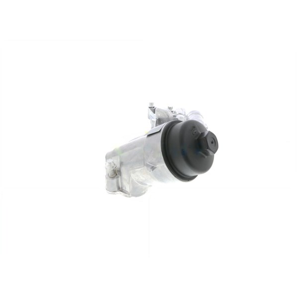 Oljekylare, motor