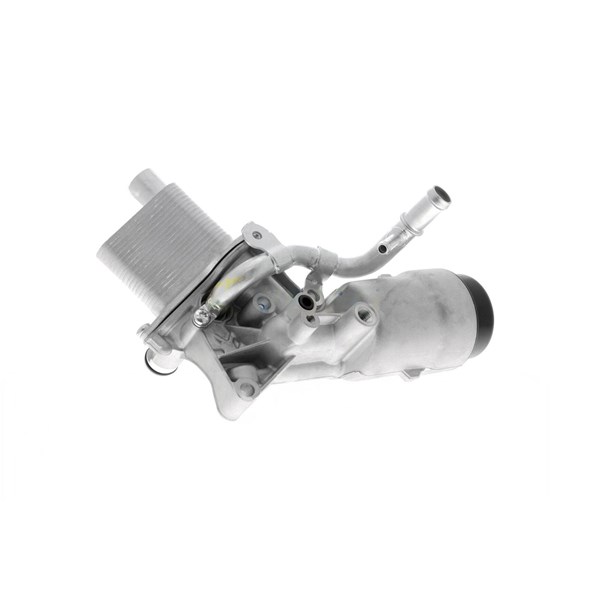Oljekylare, motor