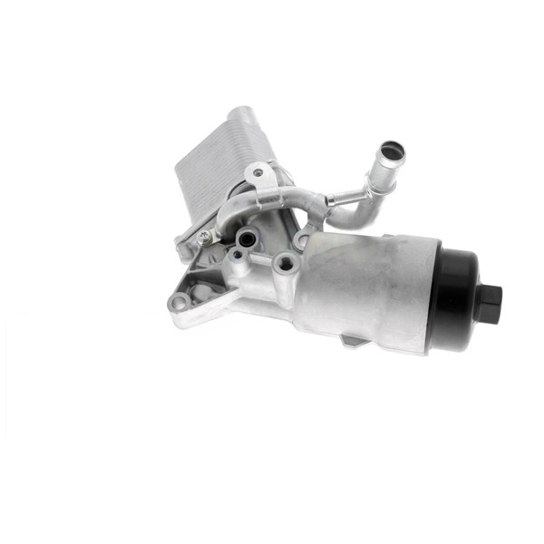 Oljekylare, motor