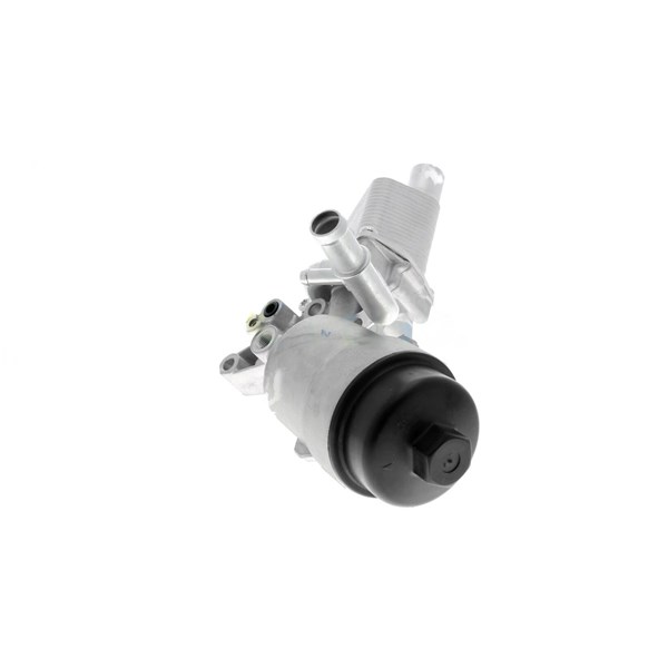 Oljekylare, motor