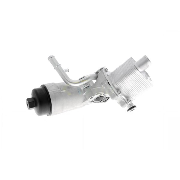 Oljekylare, motor