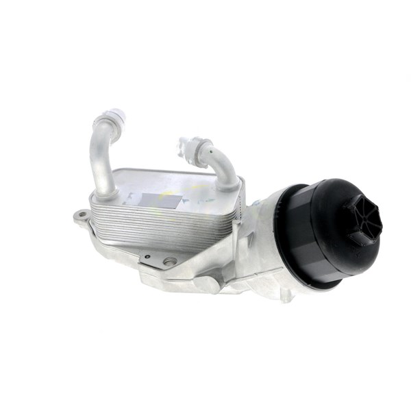 Oljekylare, motor
