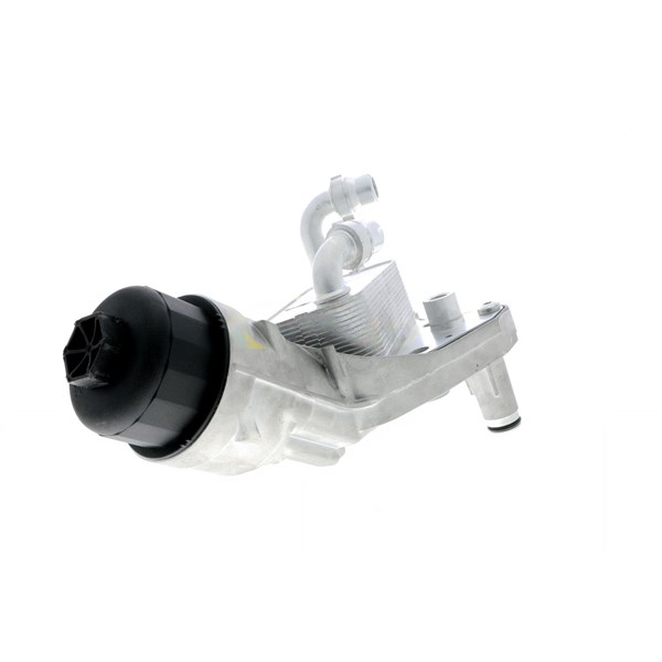 Oljekylare, motor