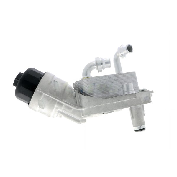 Oljekylare, motor