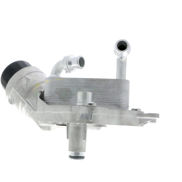 Oljekylare, motor