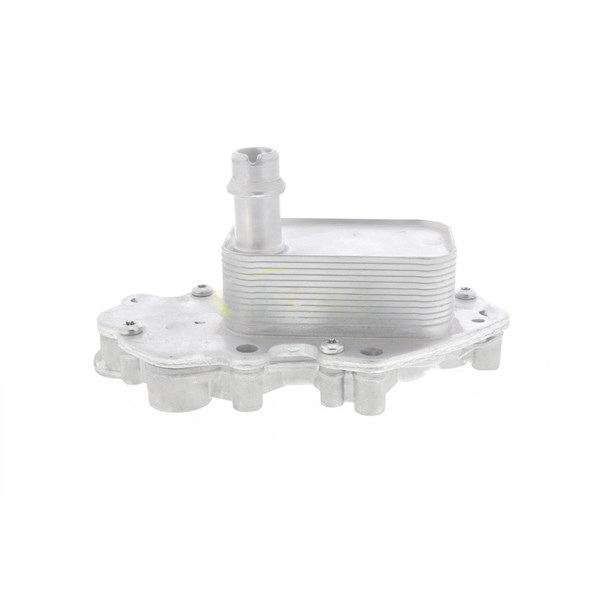 Oljekylare, motor