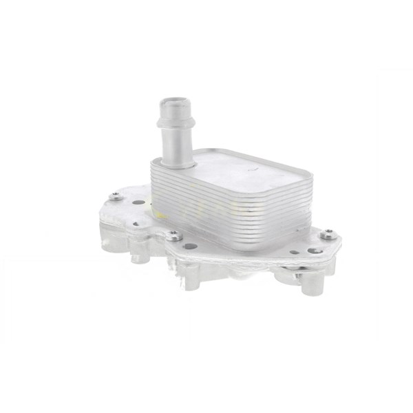 Oljekylare, motor