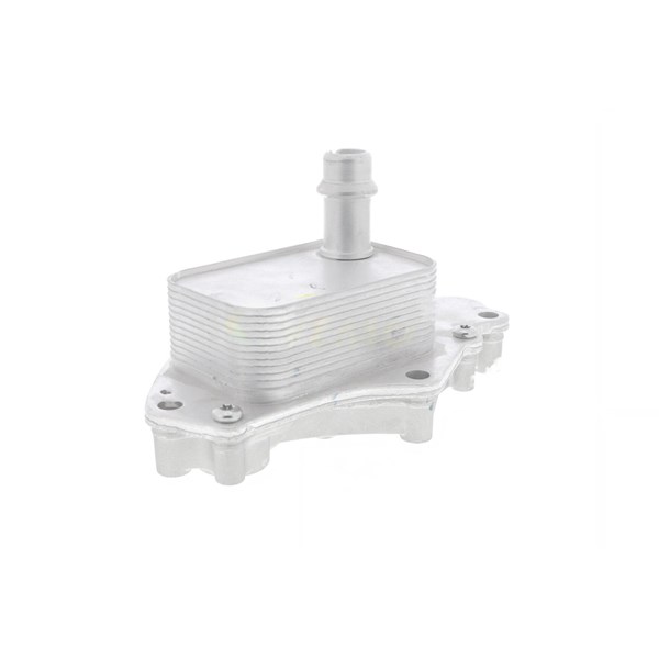 Oljekylare, motor