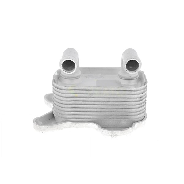 Oljekylare, motor
