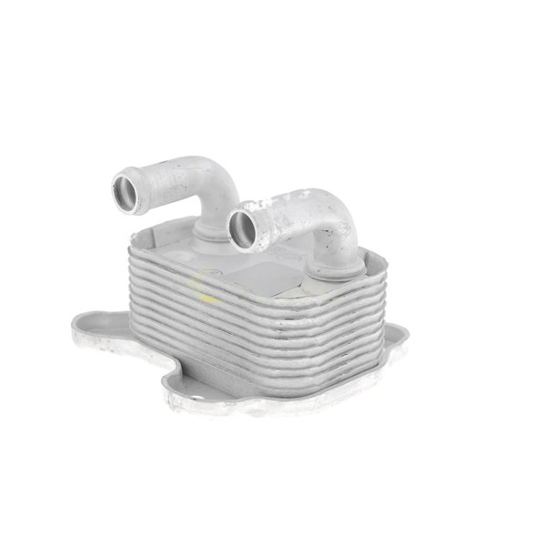Oljekylare, motor