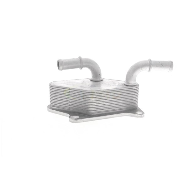 Oljekylare, motor